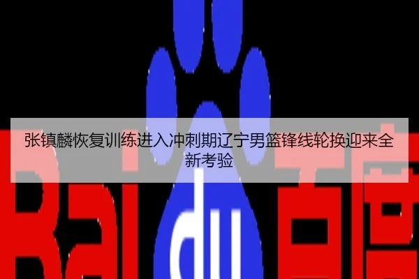 张镇麟恢复训练进入冲刺期辽宁男篮锋线轮换迎来全新考验